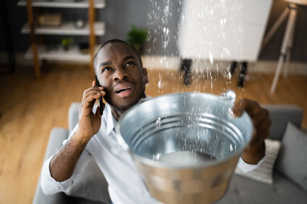 Best Flood damage cleanup  in Garrett, IN