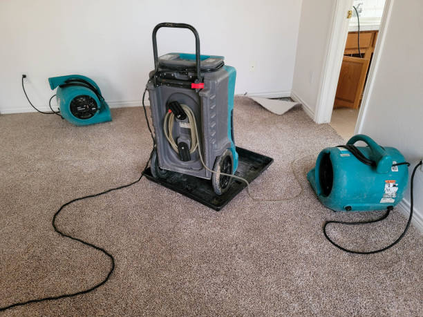 Best Water damage restoration services  in Garrett, IN