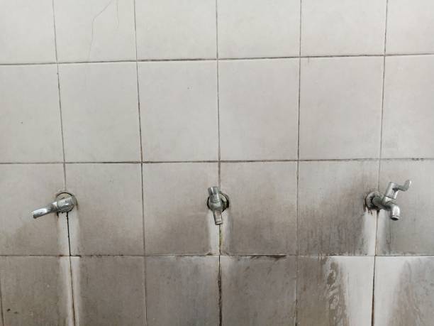 Best Local water damage restoration  in Garrett, IN