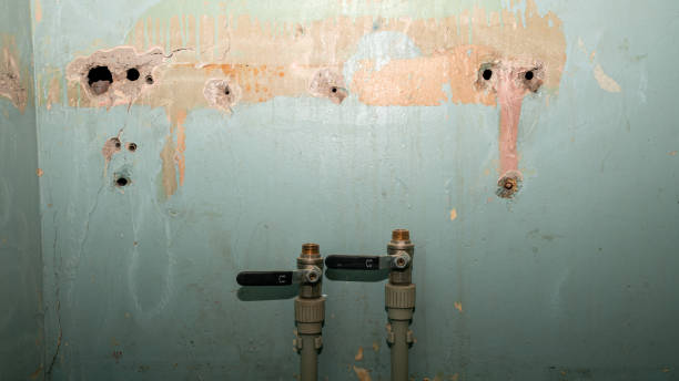 Best Water damage contractors near me  in Garrett, IN