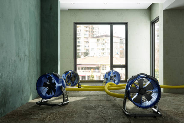 Best Professional water damage repair  in Garrett, IN