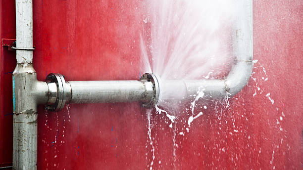 Best Flooded house restoration  in Garrett, IN